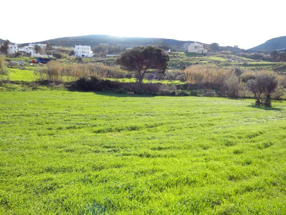 Casa Karavola In Galanado Village-Naxos Eksteriør billede