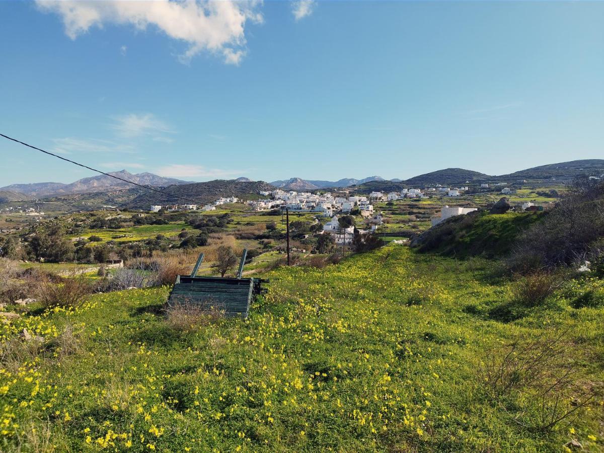 Casa Karavola In Galanado Village-Naxos Eksteriør billede