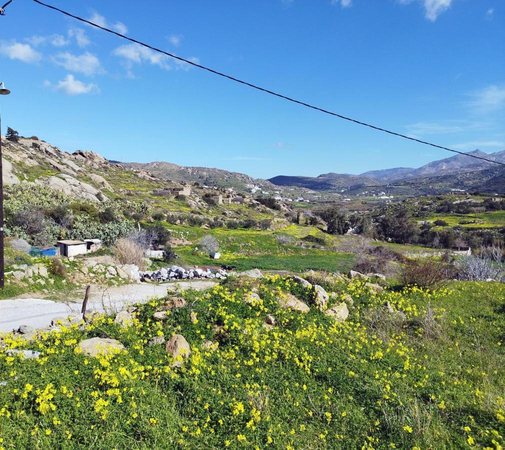 Casa Karavola In Galanado Village-Naxos Eksteriør billede